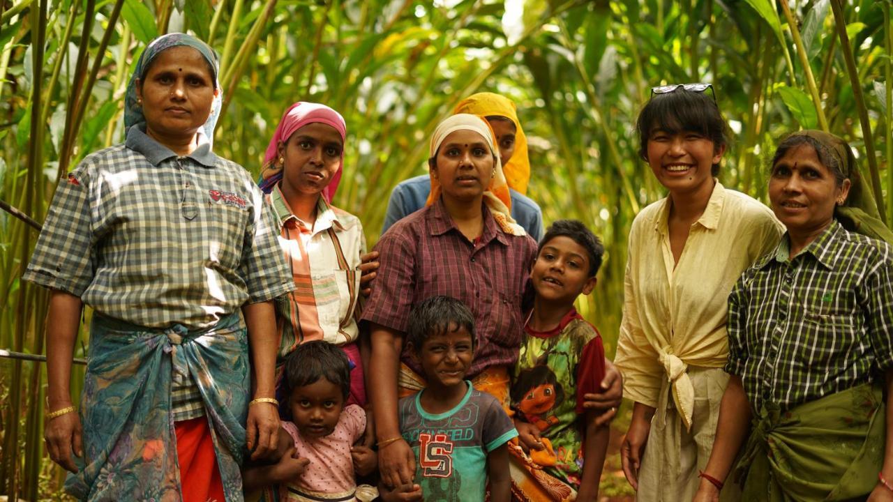 Spicetree Rajakumari Munnar Zewnętrze zdjęcie